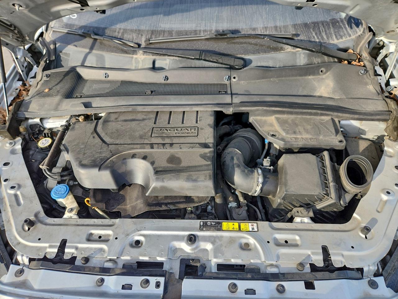 Jaguar Etype S Image 7