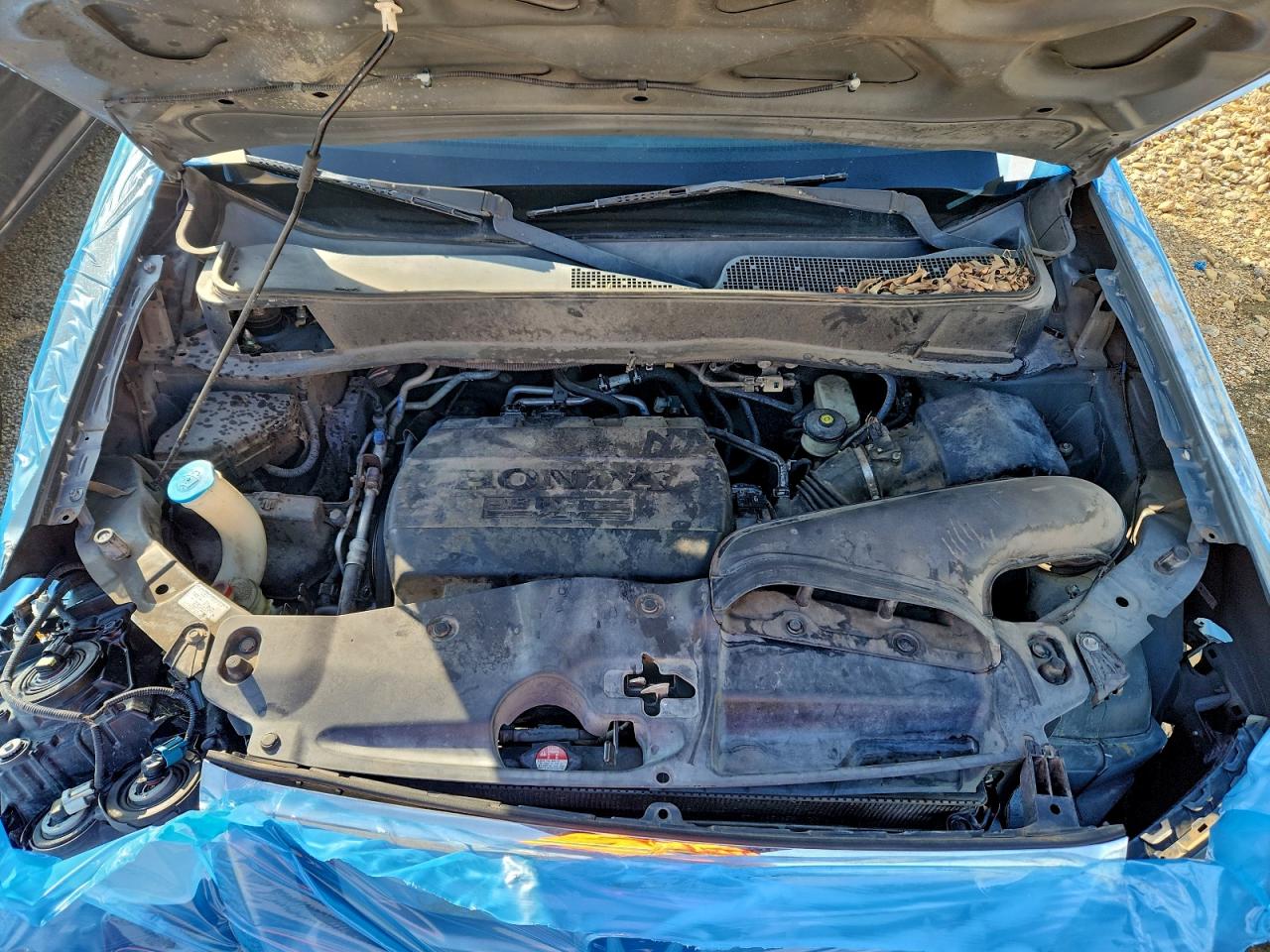 Honda Pilot Exl Image 6