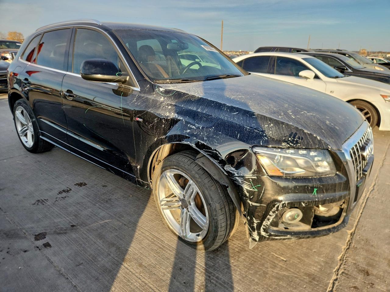 Audi Q5 Premium Plus Image 6